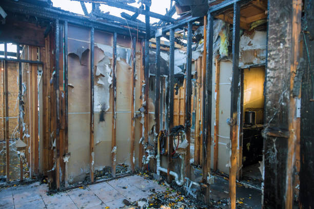 Professional Soot Cleanup technician working in Ladonia, AL